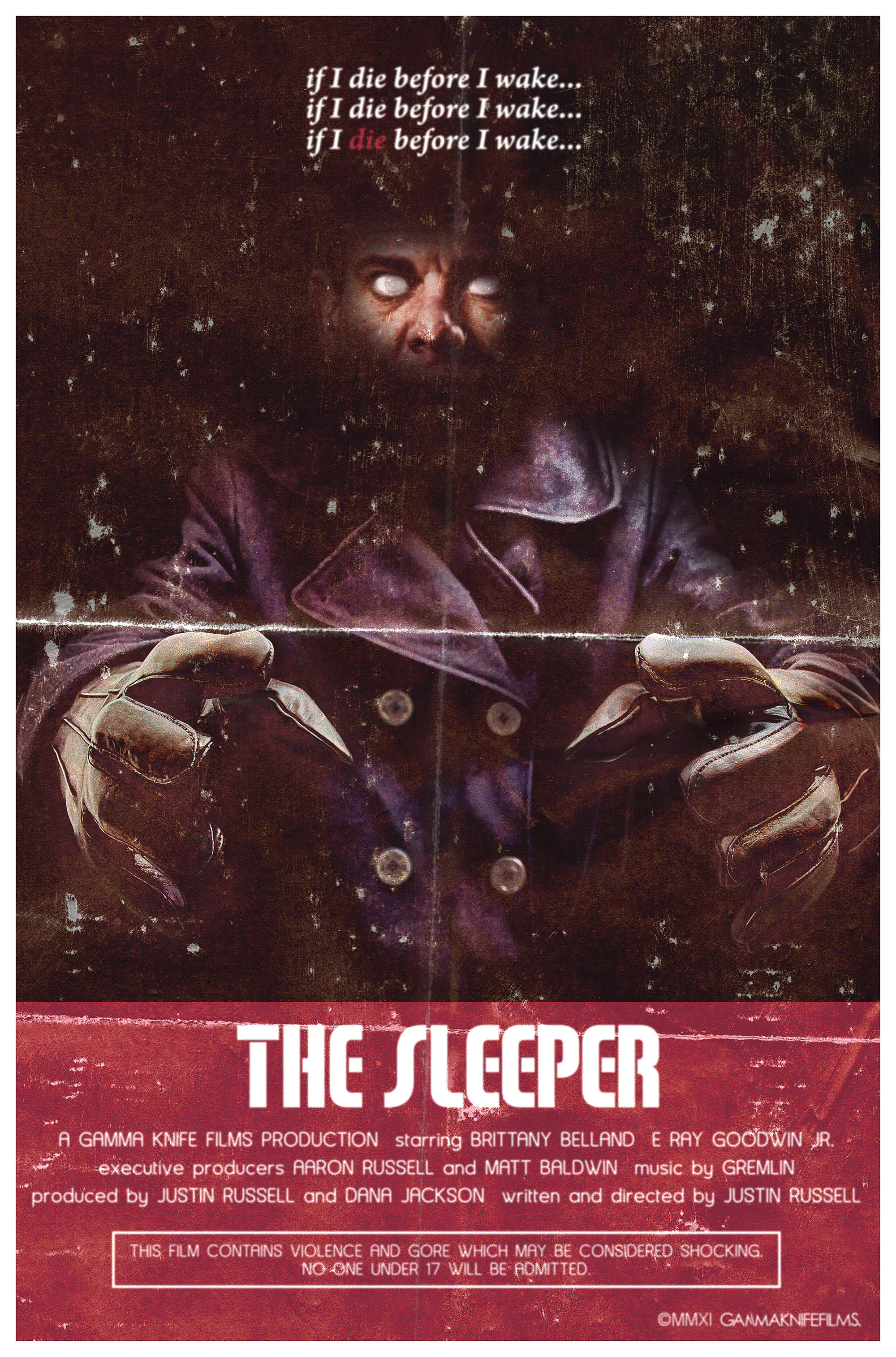 Poster of The Sleeper