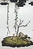 Primary photo for Rumi Poems