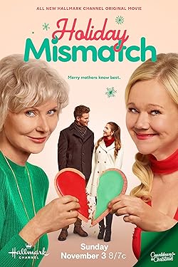 Poster of Holiday Mismatch