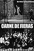 Primary photo for Carne de fieras