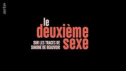 Poster of Looking for Simone