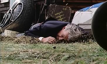 पोस्टर देखें