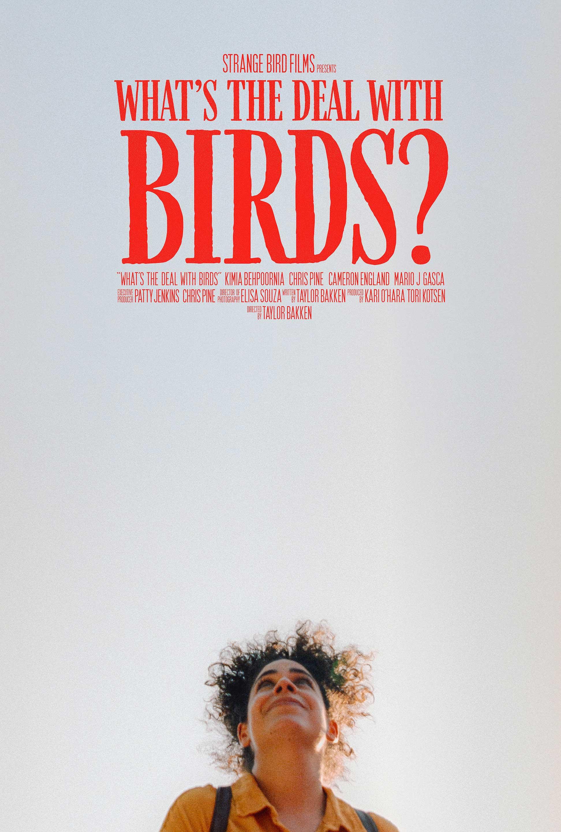 What's the Deal with Birds?
