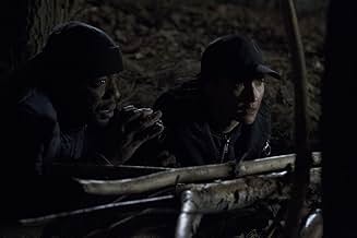 पोस्टर देखें