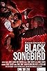 Primary photo for Black Songbird Primary photo for Black Songbird