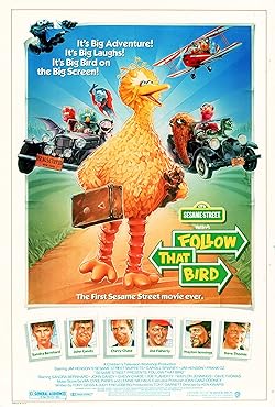 Poster of Follow That Bird