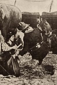 Primary photo for The Survival of the Fittest