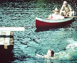 पोस्टर देखें