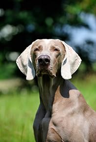 Primary photo for Stephen Earner