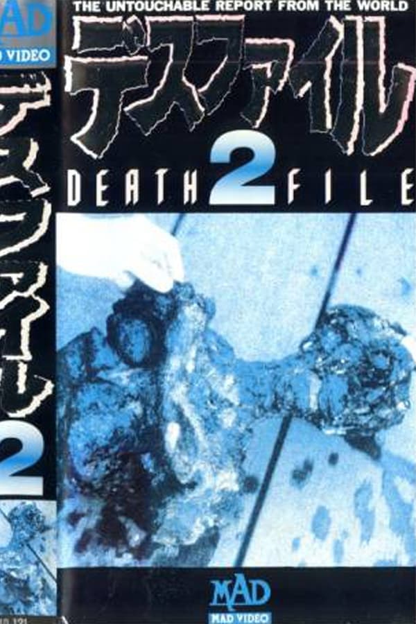 Death File 2 (Video 2007) - IMDb