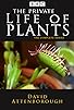 Primary photo for The Private Life of Plants