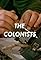 The Colonists's primary photo