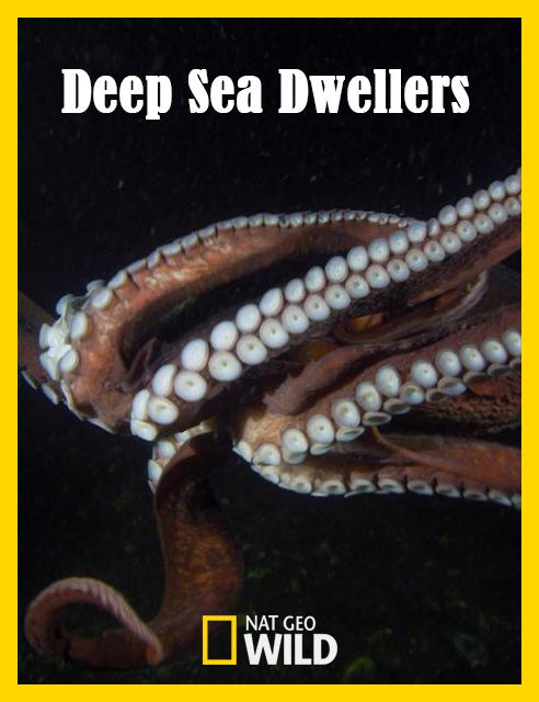 Deep Sea Dwellers