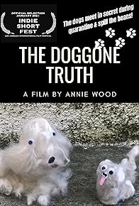 Primary photo for The Doggone Truth