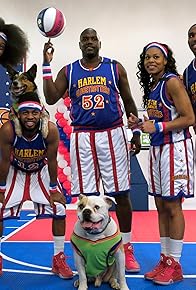 Primary photo for Basketball Dogs vs. The Harlem Globetrotters Primary photo for Basketball Dogs vs. The Harlem Globetrotters