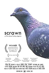 Primary photo for Scrawn