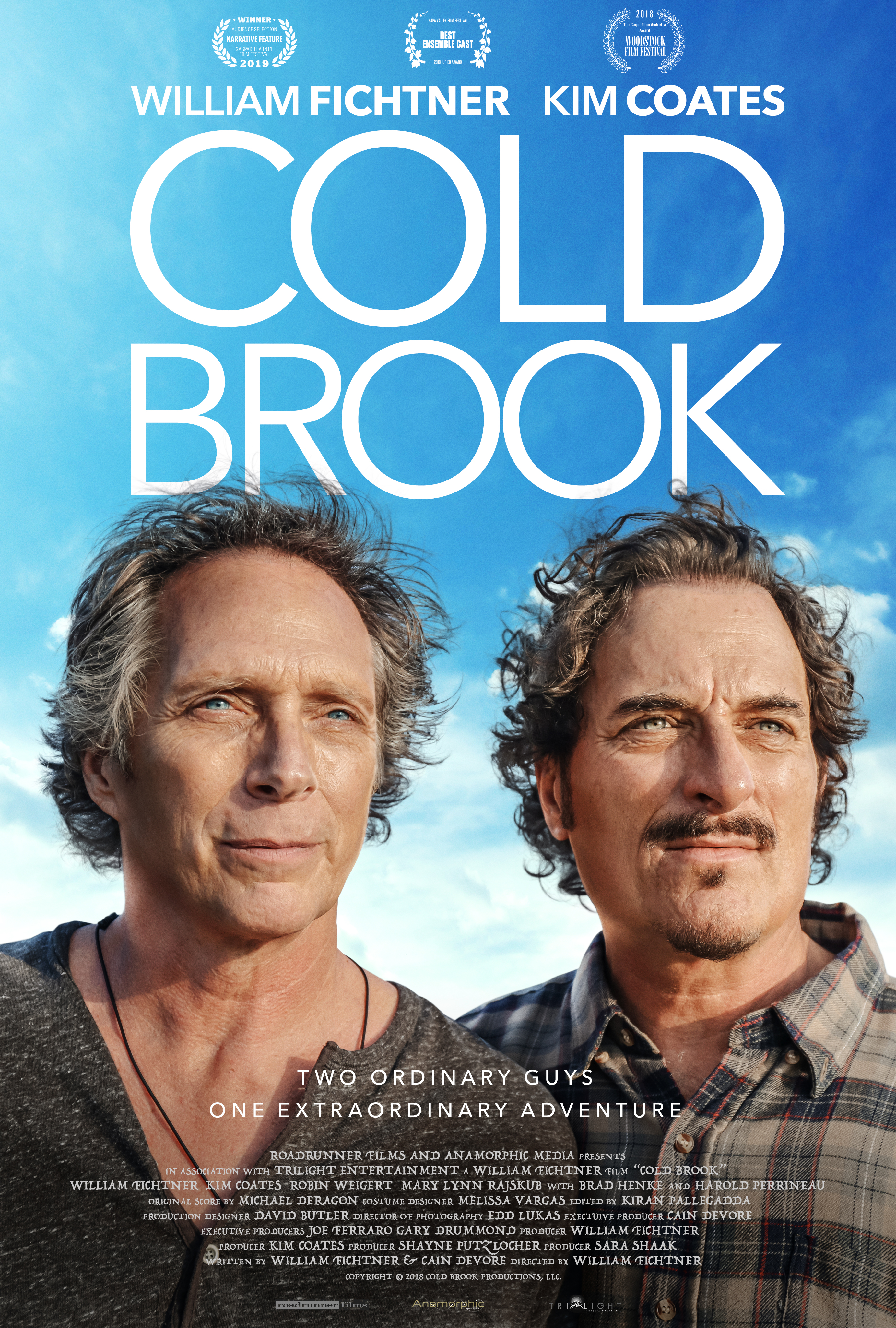 Poster of Cold Brook