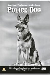 Primary photo for Rex the Wonder Dog