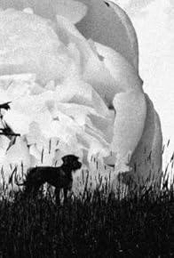 Primary photo for La Pivoine