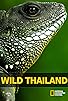 Primary photo for Wild Thailand Primary photo for Wild Thailand