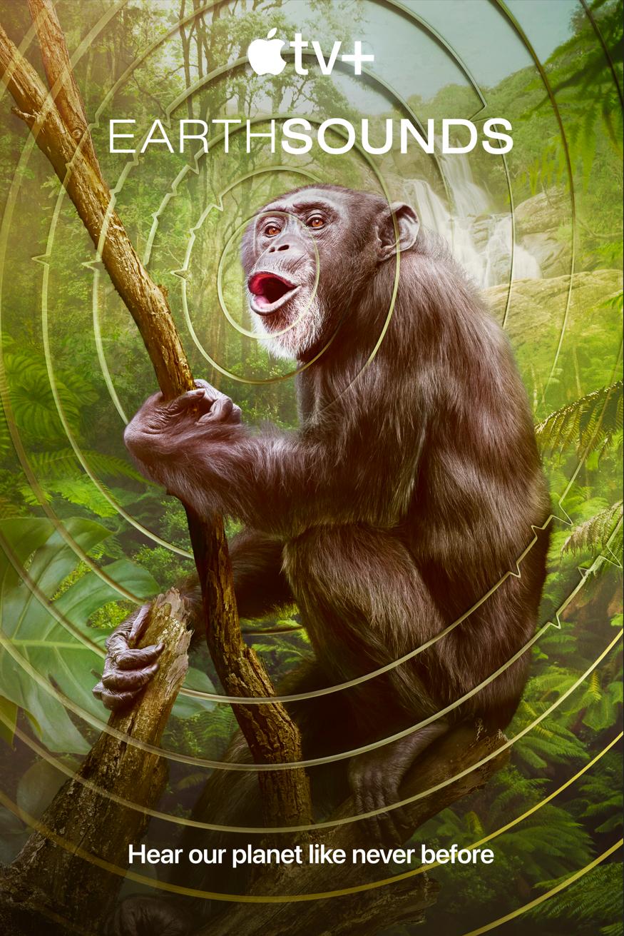 その他 Nature: Ocean Wonders [DVD] Amazon.com: Ocean Wonders : None, John Stoneman: Movies & TV