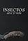 INSECTOS: arte y vida's primary photo