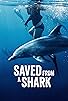 Primary photo for Saved from a Shark Primary photo for Saved from a Shark