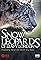 Snow Leopards of Leafy London's primary photo