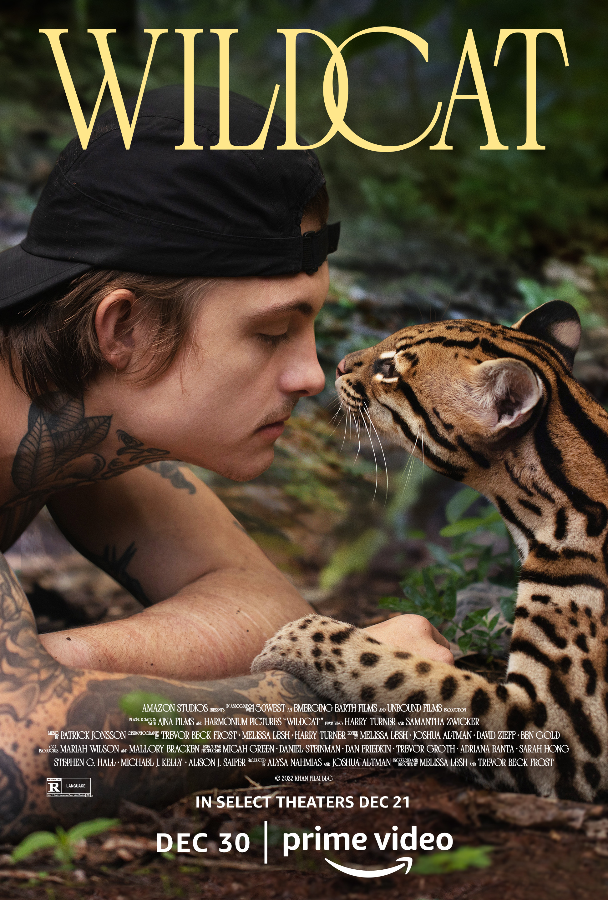 Poster of Wildcat (2022)