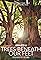 Trees Beneath My Feet's primary photo