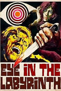 Primary photo for Eye in the Labyrinth