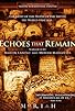 Primary photo for Echoes That Remain
