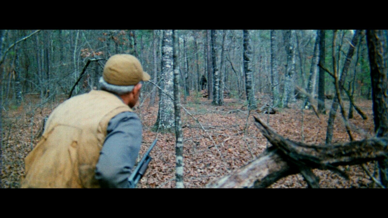 Huyền Thoại Boggy Creek (1972) - IMDb