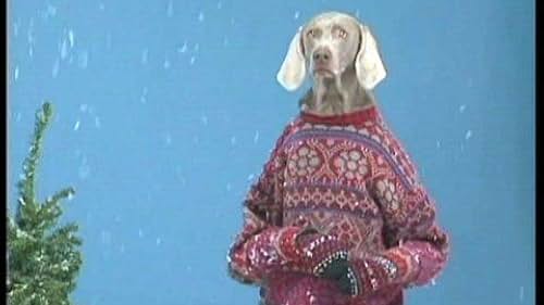 William Wegman - IMDb