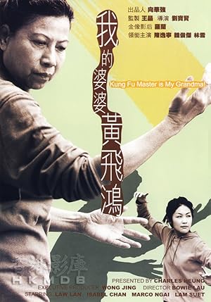 Kung Fu Master Is My Grandma! Poster
