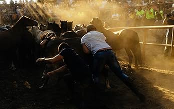 पोस्टर देखें