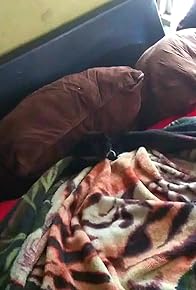 Primary photo for Thank God It's Caturday!