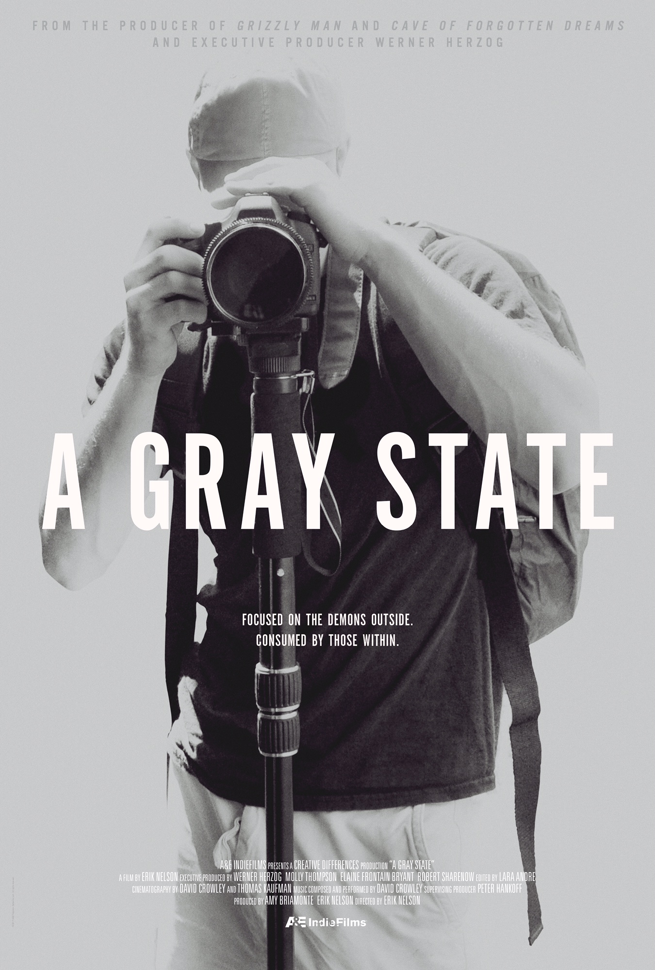 Poster of A Gray State