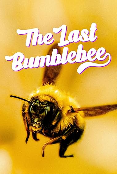 The Last Bumblebee 2024 movie poster - watch and download free