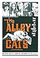 The Alley Cats's primary photo