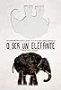 Primary photo for O ser un elefante Primary photo for O ser un elefante