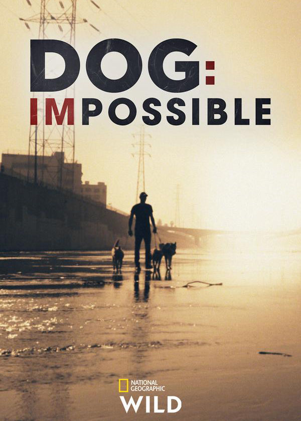 Poster of Dog: Impossible