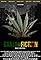 Ganja Fiction's primary photo