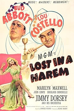 Poster of Lost in a Harem 