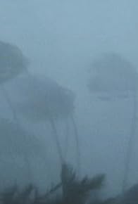 Primary photo for Hurricane