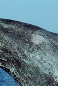 Primary photo for The Death of the Oceans?