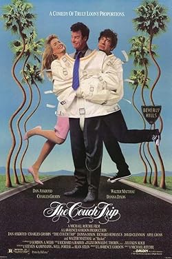 Poster of The Couch Trip