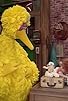 Primary photo for Shari Lewis & Lamb Chop visit Sesame Street Primary photo for Shari Lewis & Lamb Chop visit Sesame Street