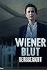 Primary photo for Wiener Blut - Berggericht Primary photo for Wiener Blut - Berggericht
