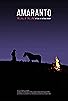 Primary photo for Amaranto: The Call of the Land
